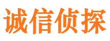 青龙捉小三公司